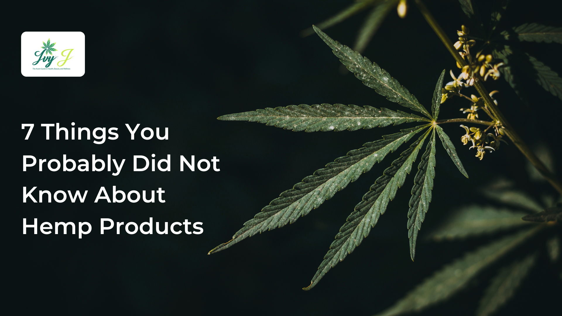 7 Things You Probably Did Not Know About Hemp Products